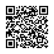 QR Code (код быстрого отклика)