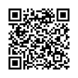 QR Code (код быстрого отклика)