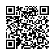 QR Code (код быстрого отклика)