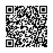 QR Code (код быстрого отклика)