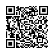 QR Code (код быстрого отклика)