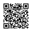 QR Code (код быстрого отклика)